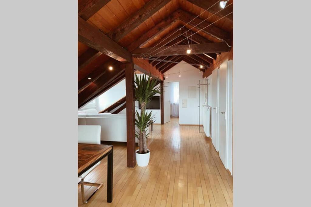 *Dreilaendereck* Wifi+ Balkon+Garage Basel Mulhouse Apartment Maulburg Exterior photo
